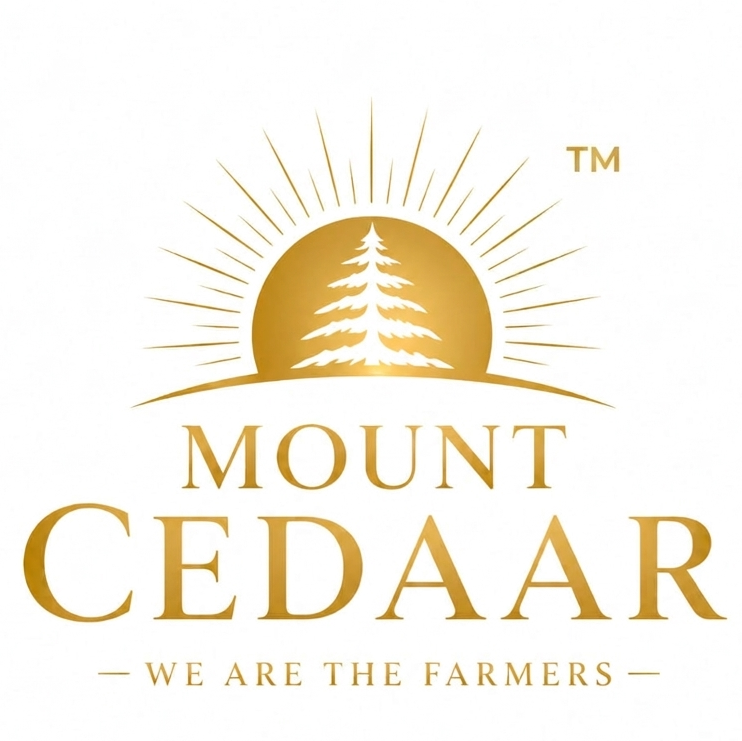 Mount CEDAAR Logo
