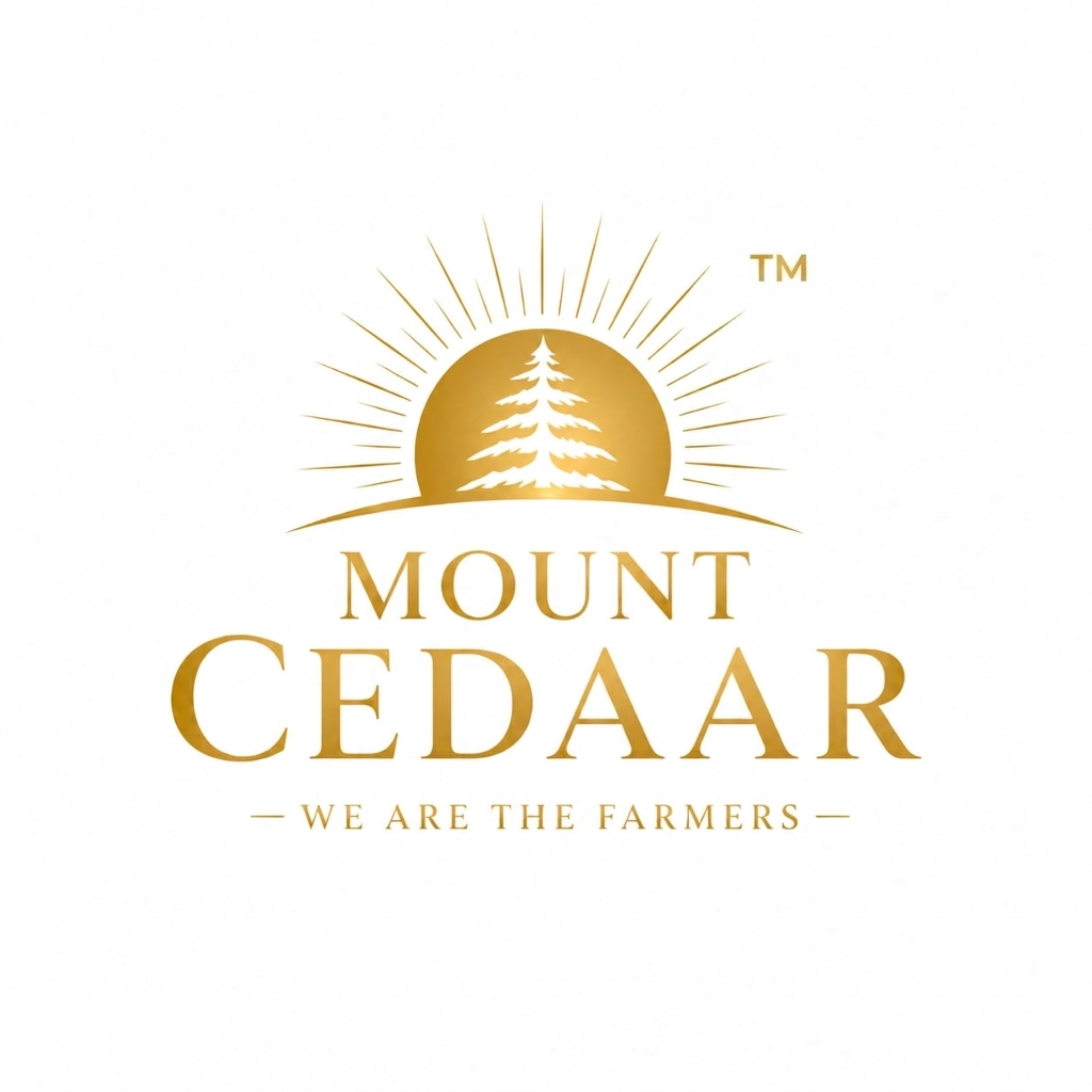 Mount CEDAAR Logo